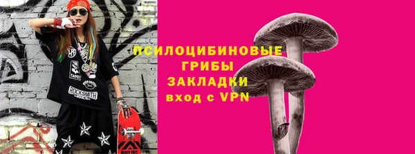 хмурый Сосновый Бор