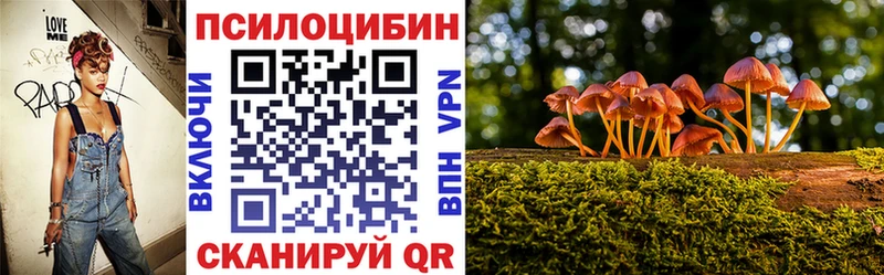 Галлюциногенные грибы Magic Shrooms  МЕГА как зайти  Гай 