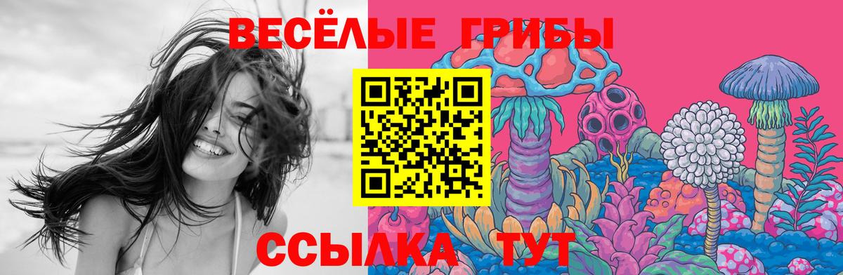 Галлюциногенные грибы Cubensis Гай