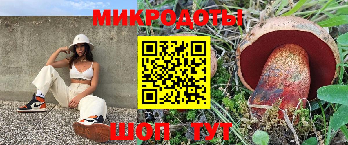 Галлюциногенные грибы Psilocybine cubensis  Вход с VPN  Гай 